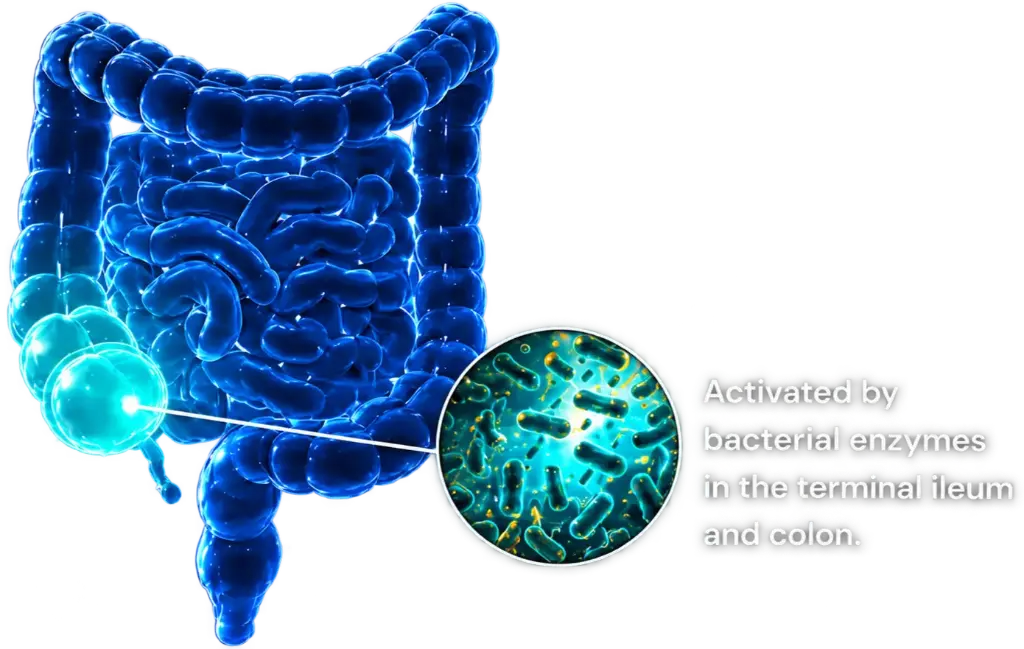 Glowing intestine with microbiome close-up